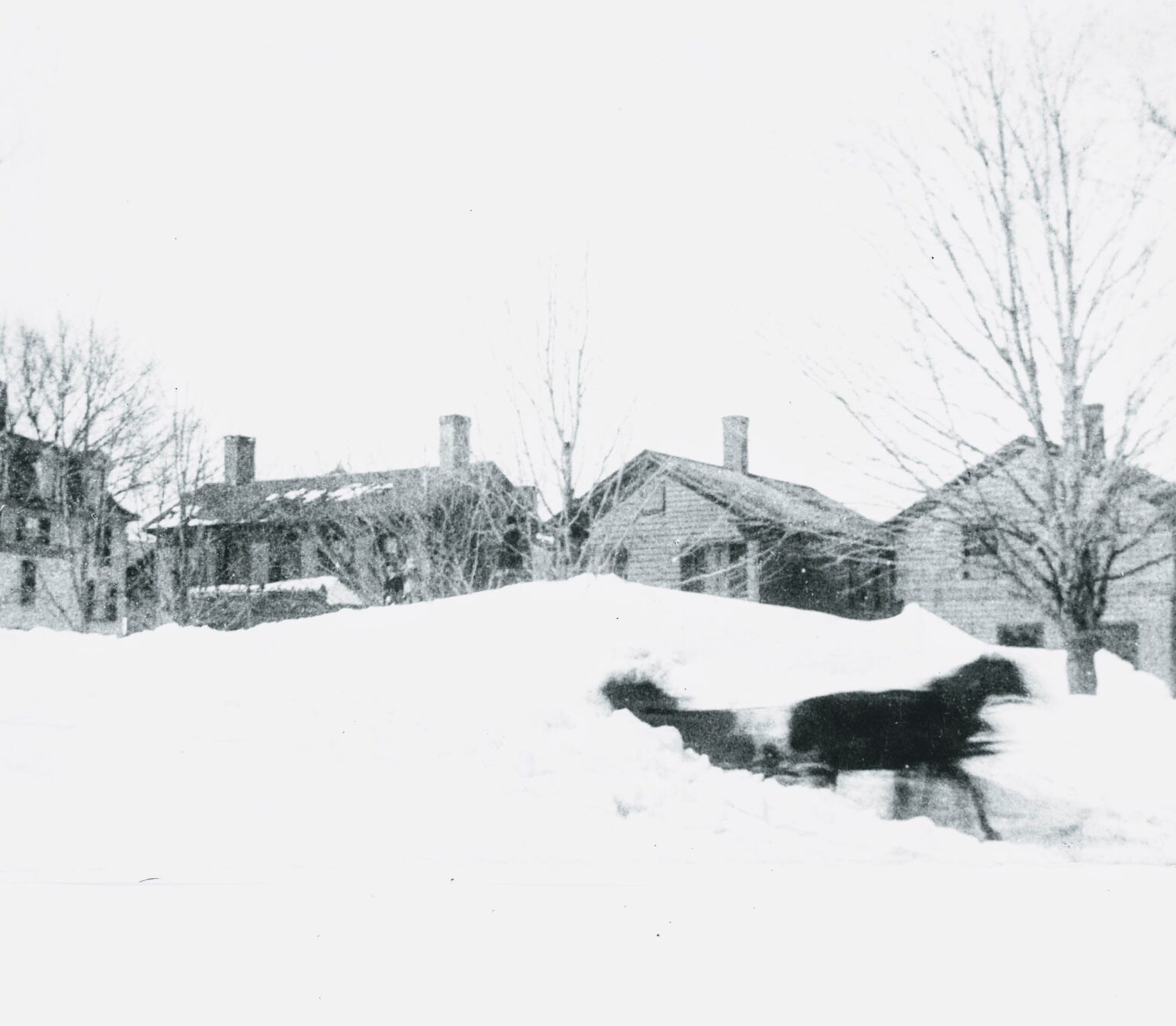 Blizzard of 1888